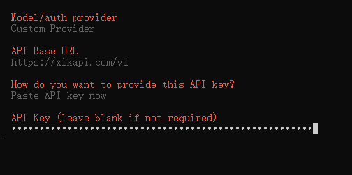 选择 Paste API key now